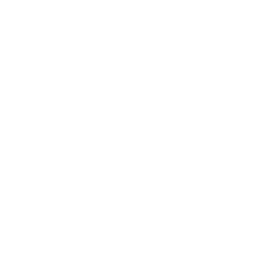 Globe Icon